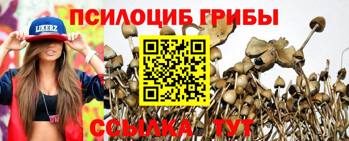 Галлюциногенные грибы мицелий  Вход с VPN  Туймазы 