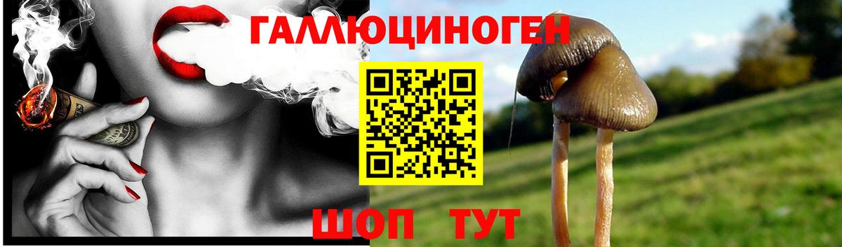 Галлюциногенные грибы Cubensis Туймазы